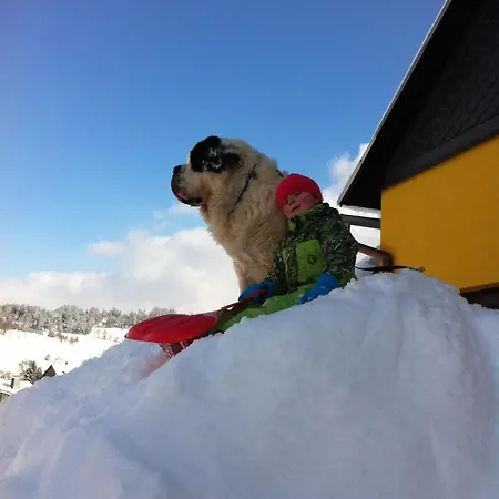 Apartamento Reifberg *