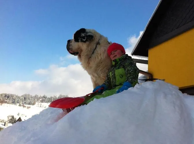 Apartment Reifberg *