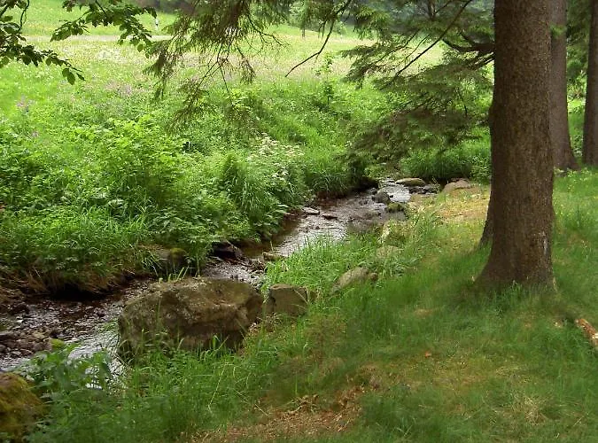 Apartment Reifberg Ilmenau