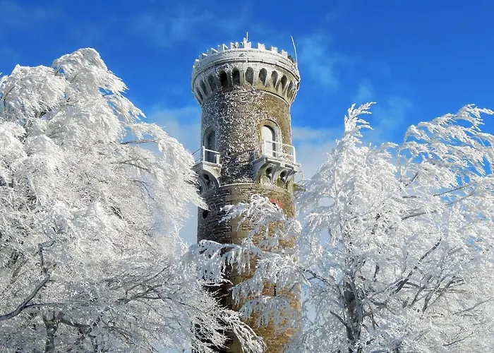 Apartment Reifberg *